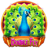Double Fly