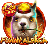 Funny Alpaca